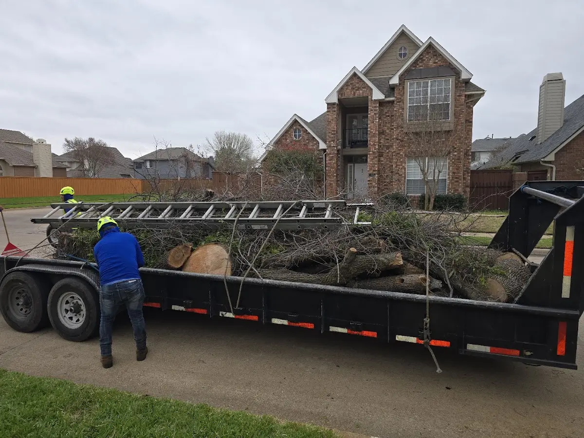 Expert Lot Clearing with proper safety equipment in La Mirada